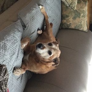 Meet your Posher, Marta